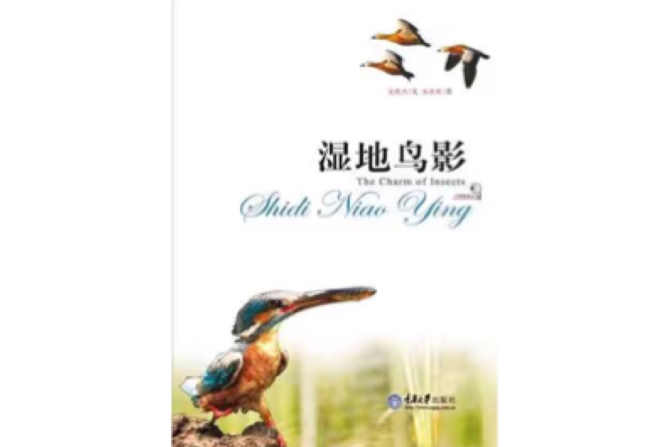 濕地鳥影 濕地鳥影