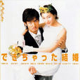 奉子成婚(2001年日本電視劇) 奉子成婚(2001年日本電視劇)