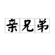 親兄弟(同胞兄弟(漢語辭彙)) 親兄弟(同胞兄弟(漢語辭彙))