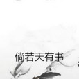 倘若天有書 倘若天有書
