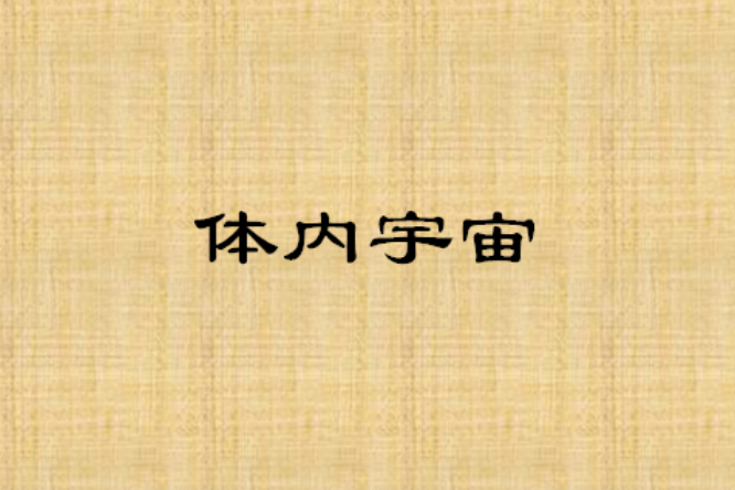 體內宇宙 體內宇宙