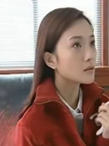 沈冰冰(電視劇《大江東去》中的角色) 沈冰冰(電視劇《大江東去》中的角色)