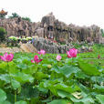 中原綠色莊園(濮陽綠色莊園景區)