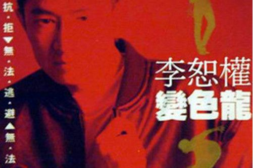 一束玫瑰 一束玫瑰