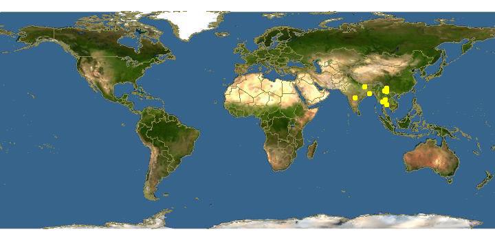 紅瘰疣螈分布圖