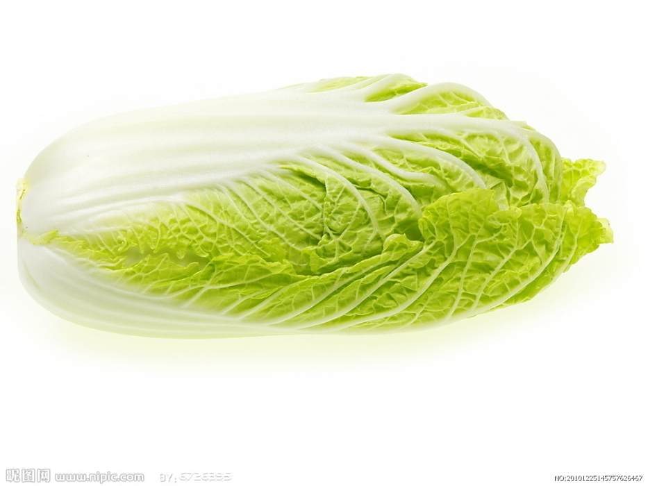 淄研秋抗78 淄研秋抗78