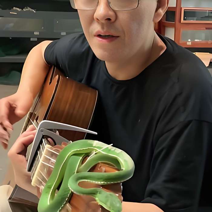黃鋒說蛇 黃鋒說蛇
