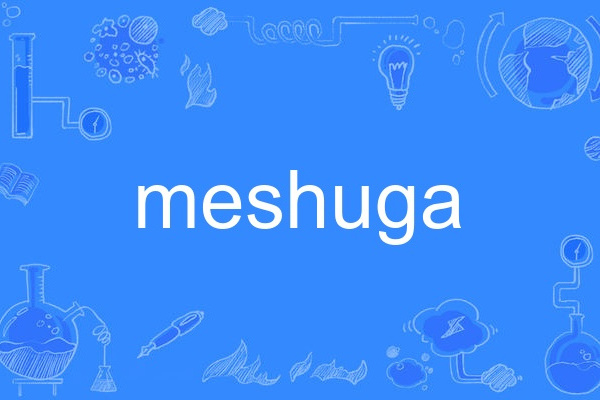 meshuga