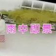 雨中即景(卓依婷演唱歌曲) 雨中即景(卓依婷演唱歌曲)