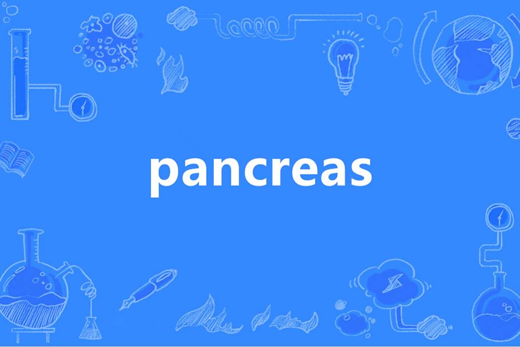 Pancreas(英語單詞) Pancreas(英語單詞)