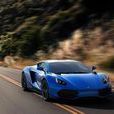 Arrinera Hussarya Arrinera Hussarya