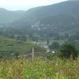 奎陽村 奎陽村