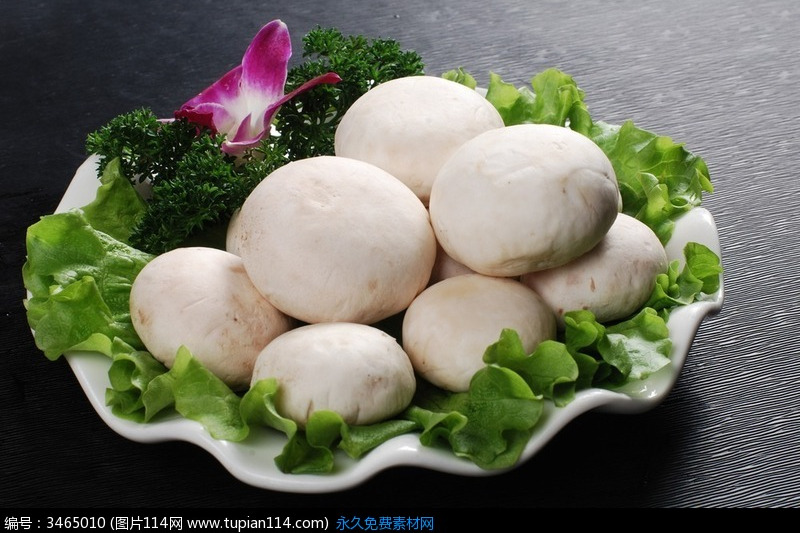 口蘑小包 口蘑小包