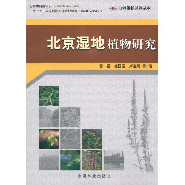 北京濕地植物研究
