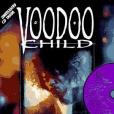 Voodoo Child(1995年Kitchen Sink Press出版的圖書) Voodoo Child(1995年Kitchen Sink Press出版的圖書)