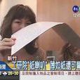 紙喇叭 紙喇叭