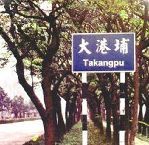 大港埔 大港埔