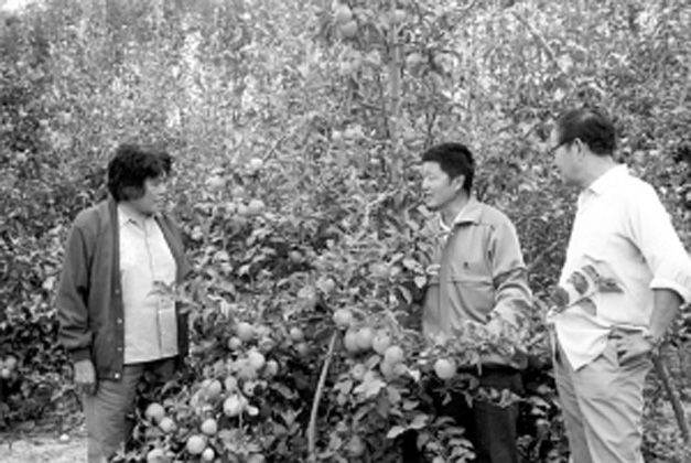 李懷玉(瀋陽農業大學教授) 李懷玉(瀋陽農業大學教授)