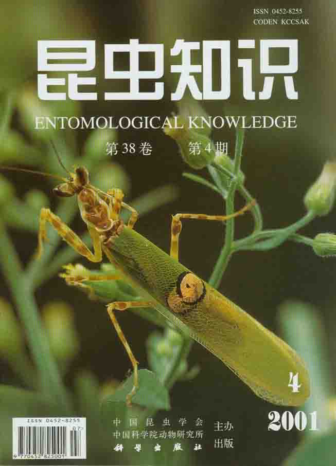 昆蟲知識
