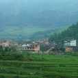 隆坪村(福建省寧德市福安市穆雲畲族鄉下轄村) 隆坪村(福建省寧德市福安市穆雲畲族鄉下轄村)