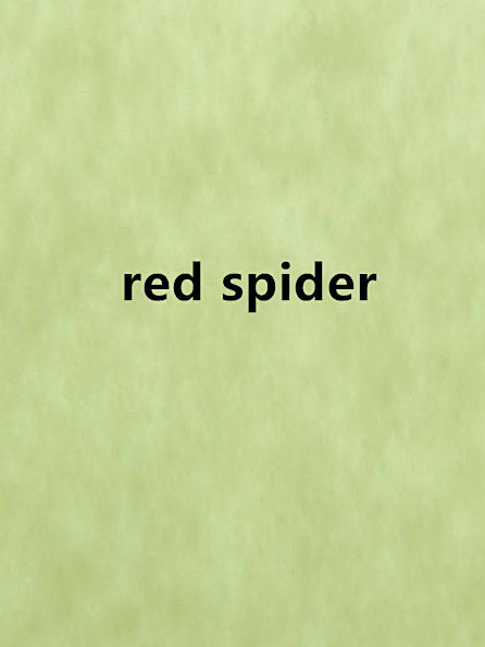 red spider red spider