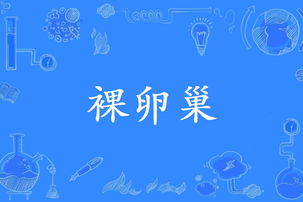 裸卵巢 裸卵巢