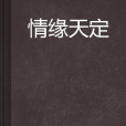 情緣天定(都市言情小說) 情緣天定(都市言情小說)