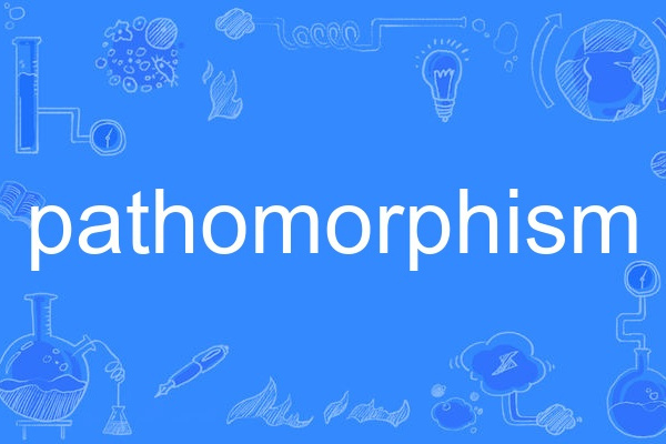 pathomorphism pathomorphism
