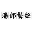 潘郎鬢絲 潘郎鬢絲