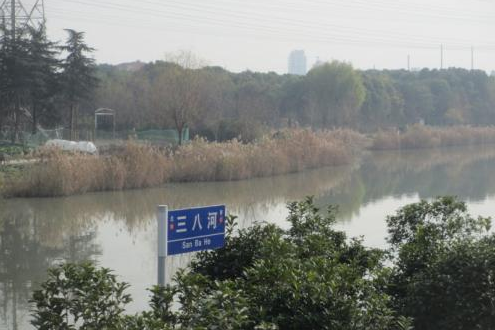 三八河(上海市的河流) 三八河(上海市的河流)