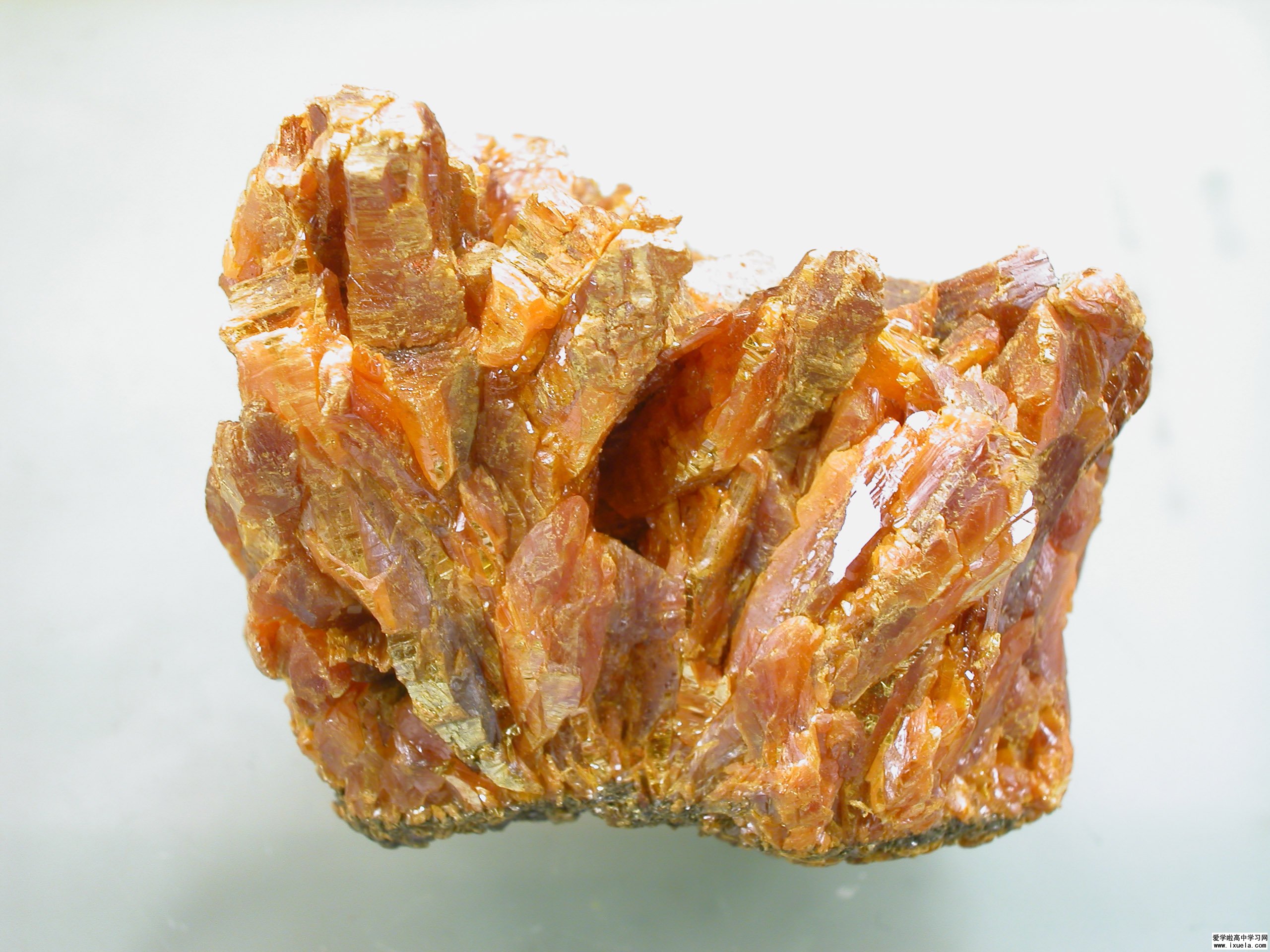 草酸鈣石
