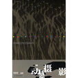 動感攝影 動感攝影