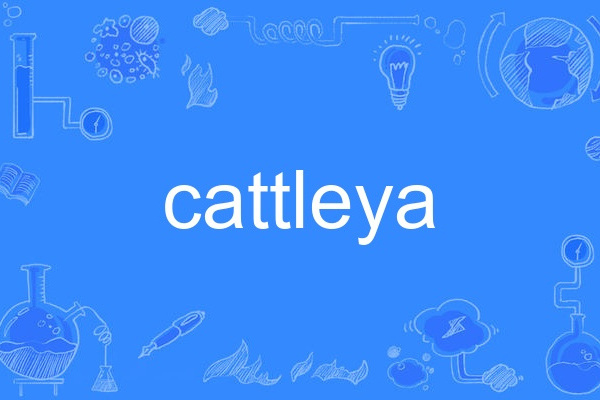cattleya(英語單詞,指蘭科卡特蘭屬植物) cattleya(英語單詞,指蘭科卡特蘭屬植物)