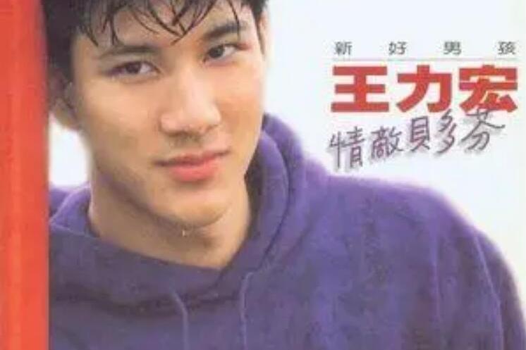 Love Me Tender(王力宏《情敵貝多芬》專輯中的歌曲) Love Me Tender(王力宏《情敵貝多芬》專輯中的歌曲)