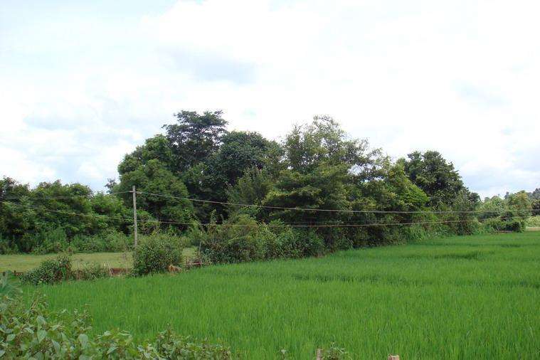 曼賽回村 曼賽回村