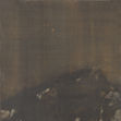 華山圖3 華山圖3