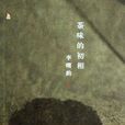 茶味的初相 茶味的初相