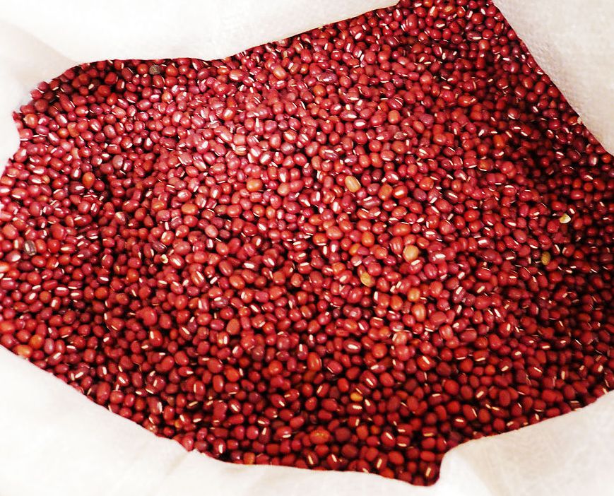 海門大紅袍赤豆