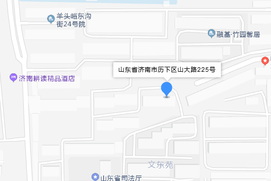 山大路225號 山大路225號
