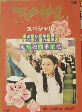 仲間由紀惠 仲間由紀惠