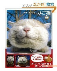 《籃子貓 日本一憨臉》