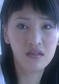 蝴蝶飛飛(2004年佟大為、楊雪主演電視劇)