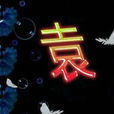 袁力光 袁力光