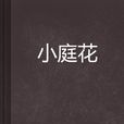 小庭花 小庭花
