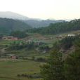 豐坪村 豐坪村