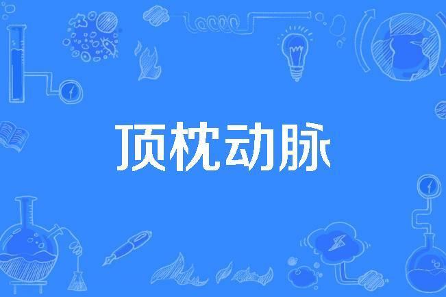 頂枕動脈 頂枕動脈
