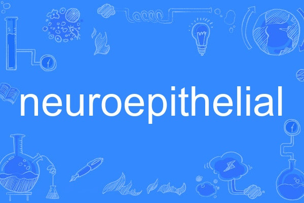 neuroepithelial neuroepithelial
