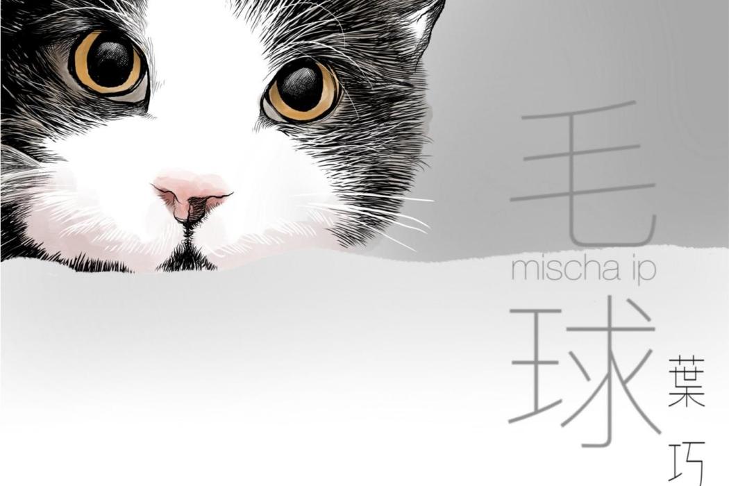 毛球(葉巧琳演唱的歌曲) 毛球(葉巧琳演唱的歌曲)