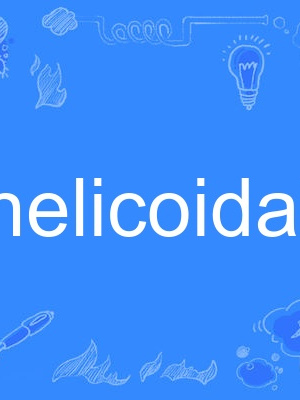 helicoidal helicoidal