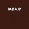 極品妖孽(小說) 極品妖孽(小說)